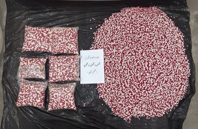 featured image thumbnail for post Kuwait Customs Intercepts Shipment of 60,000 Lyrica Capsules