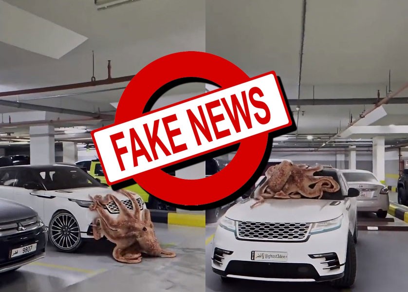 Fake News: Octopus Never Crashed Range Rover in Qatar