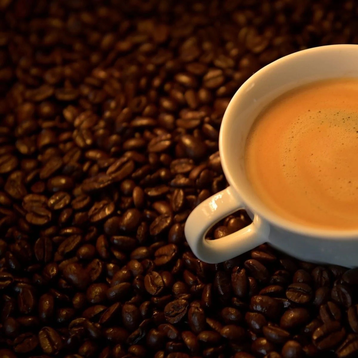 Your morning coffee may be more than a half million years old