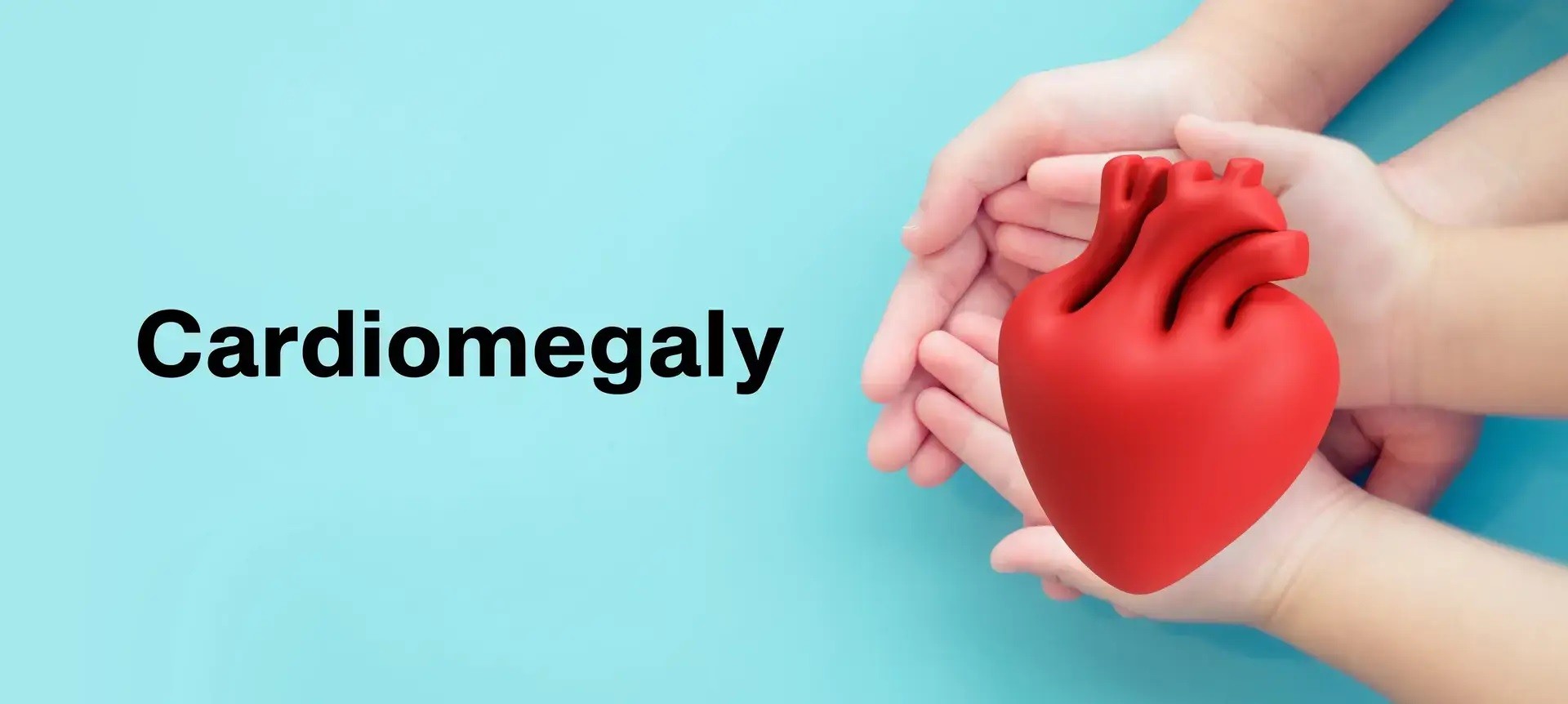 Understanding cardiomegaly: Signs and causes of an enlarged heart ...